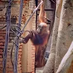 Apartamento Comodo Apt 2 Hab + 2 Banos | Fuengirola Centro