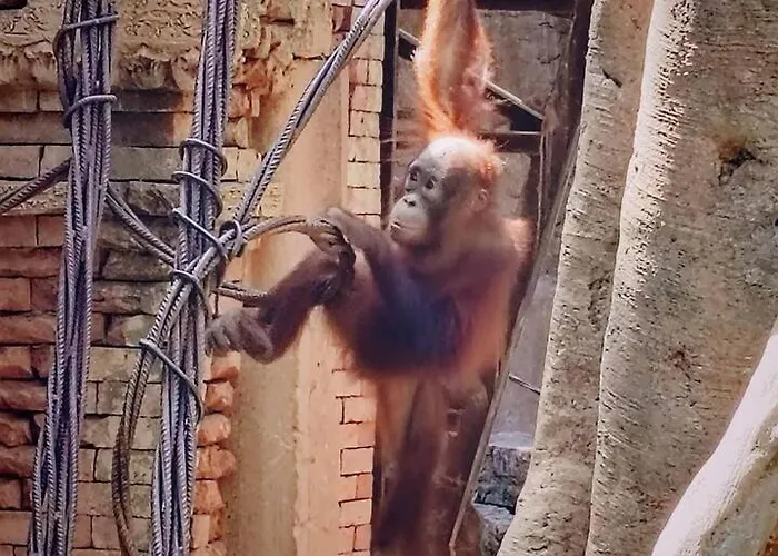 Apartment Center Terrace, Wifi Near The