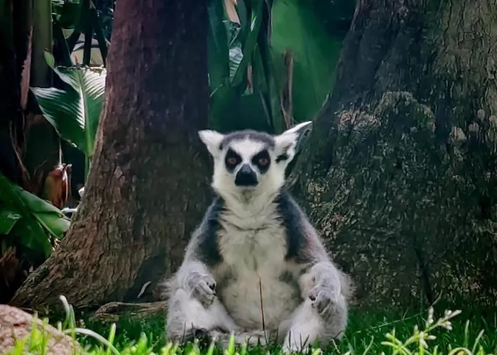 Center Terrace, Wifi Near The * Fuengirola