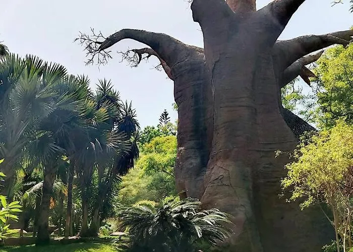 Center Terrace, Wifi Near The *