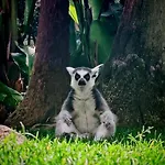 Comodo Apt 2 Hab + 2 Banos | Fuengirola Centro * Fuengirola